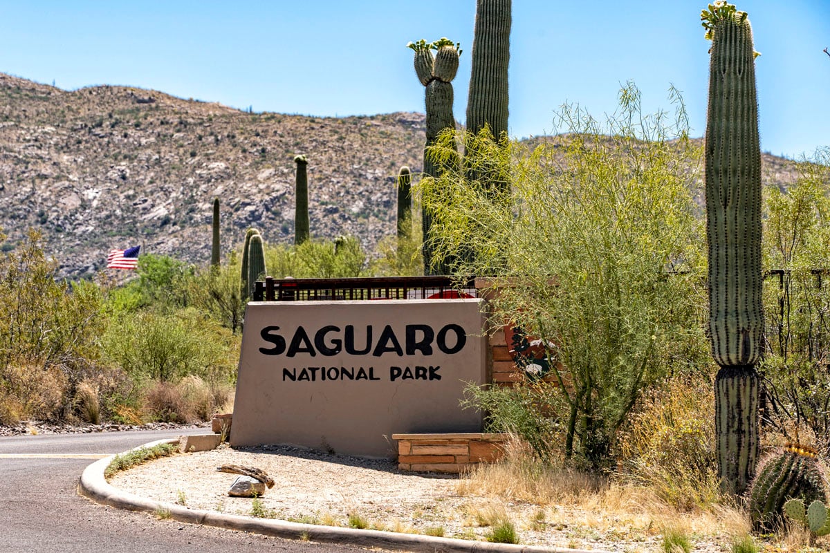 Close to Saguaro National Park East