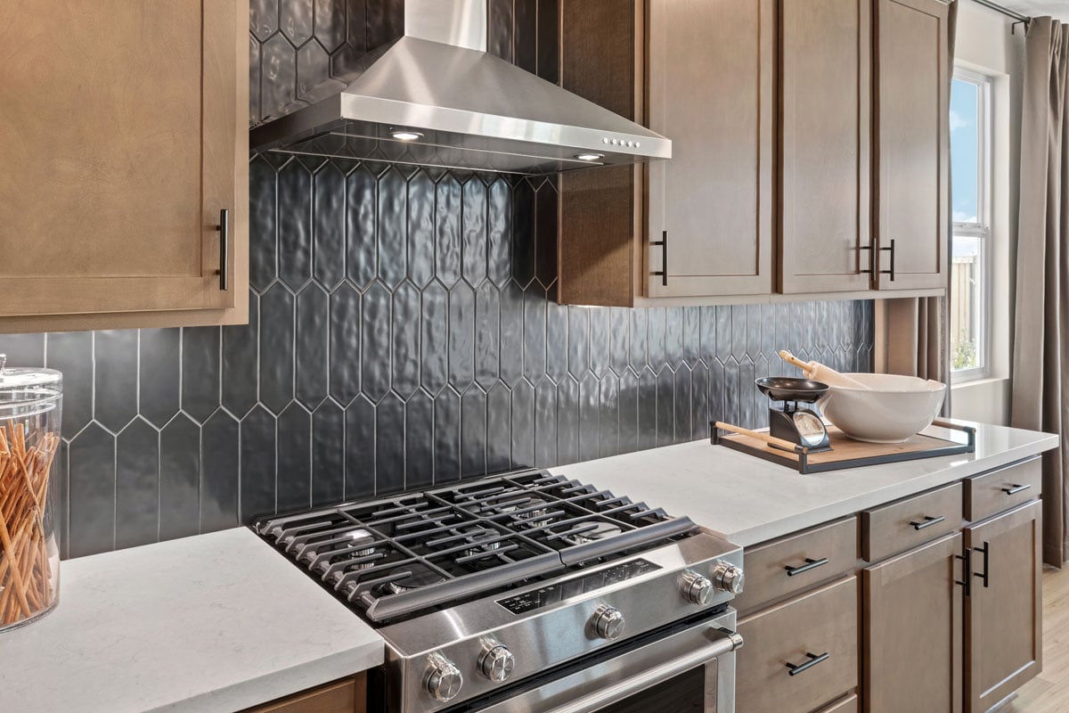 Stainless steel gas range and hood