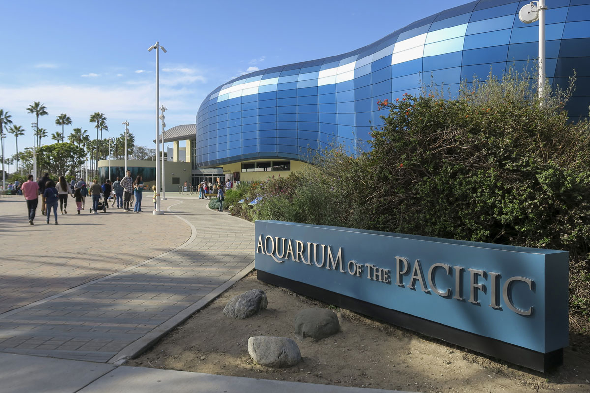 Minutes to the Aquarium of the Pacific