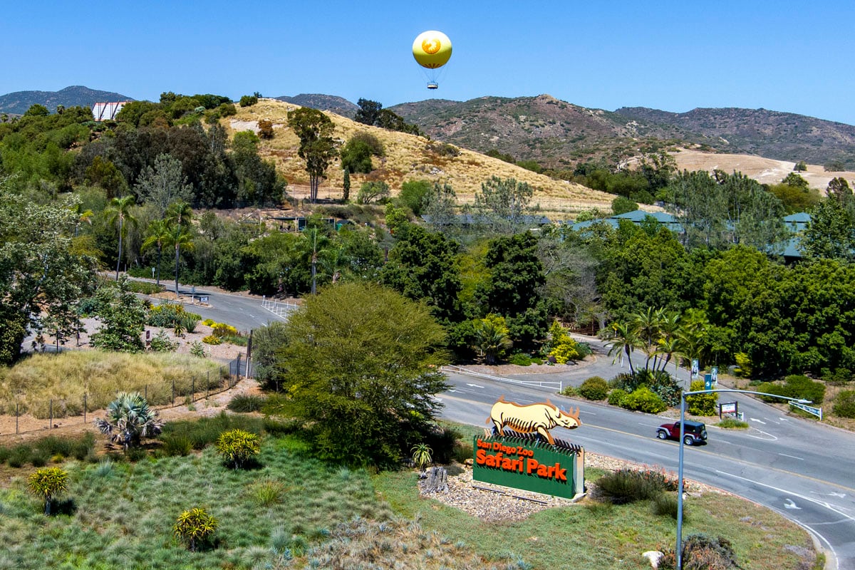 Minutes to San Diego Zoo Safari Park