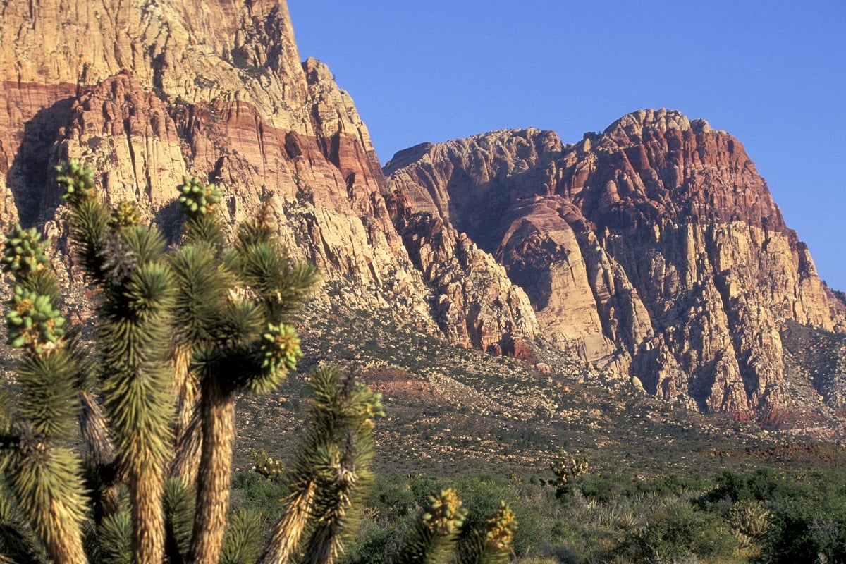 Short drive to Red Rock Canyon