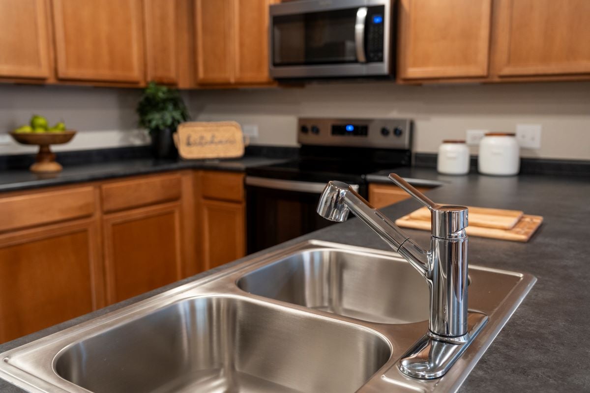 Dual-basin sink